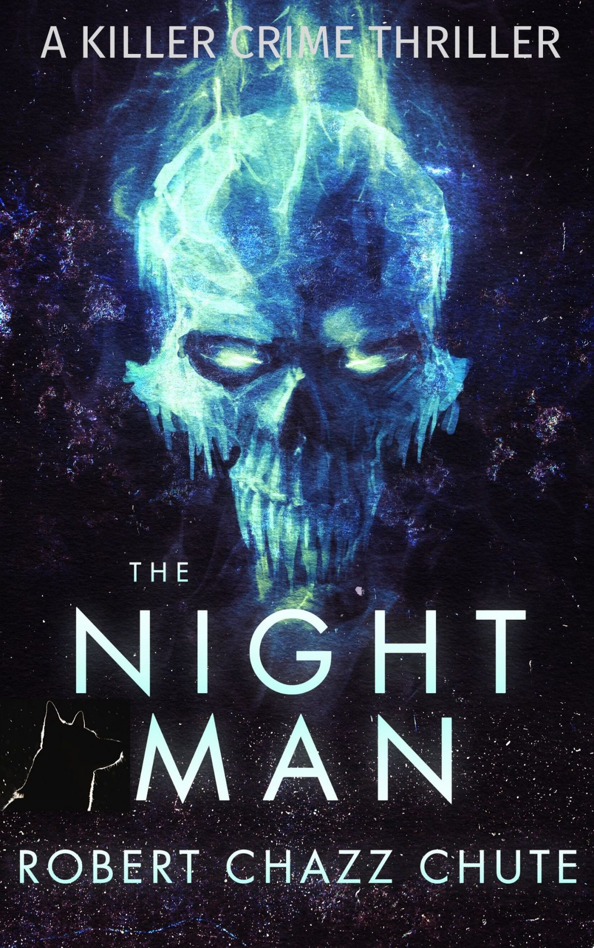 The Night Man cover