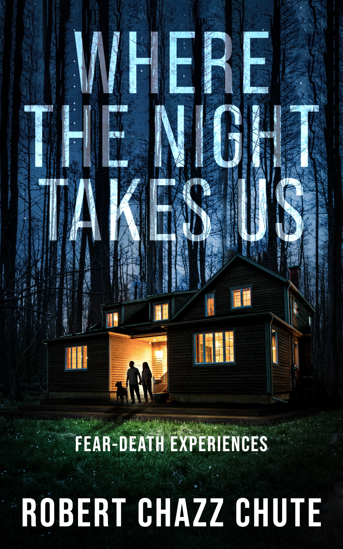 The cover of Where The Night Takes Us