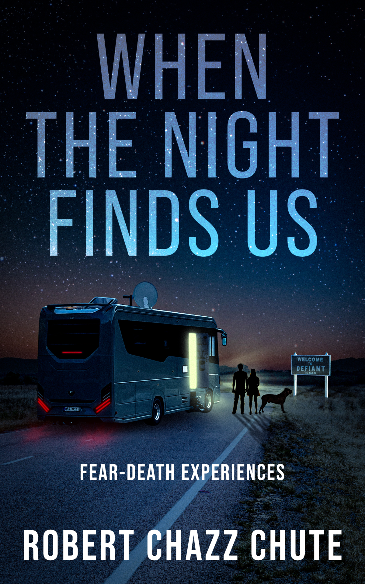 Thriller cover for the novel When the Night Finds Us